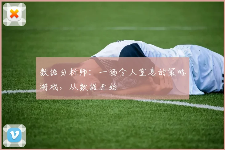 数据分析师：一场令人窒息的策略游戏，从数据开始