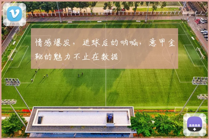 情感爆发,进球后的呐喊,意甲金靴的魅力不止在数据